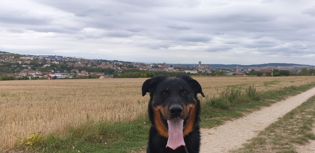 des Mille Pas de Loup - PACO...un an et demi déjà!