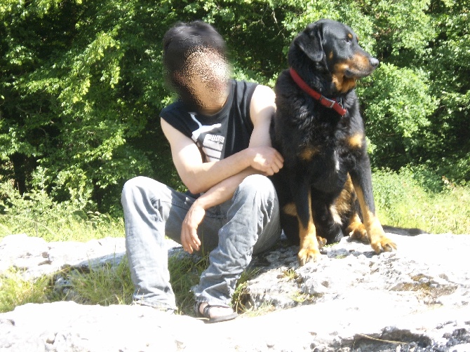 des Mille Pas de Loup - Beauceron un jour, Beauceron toujours