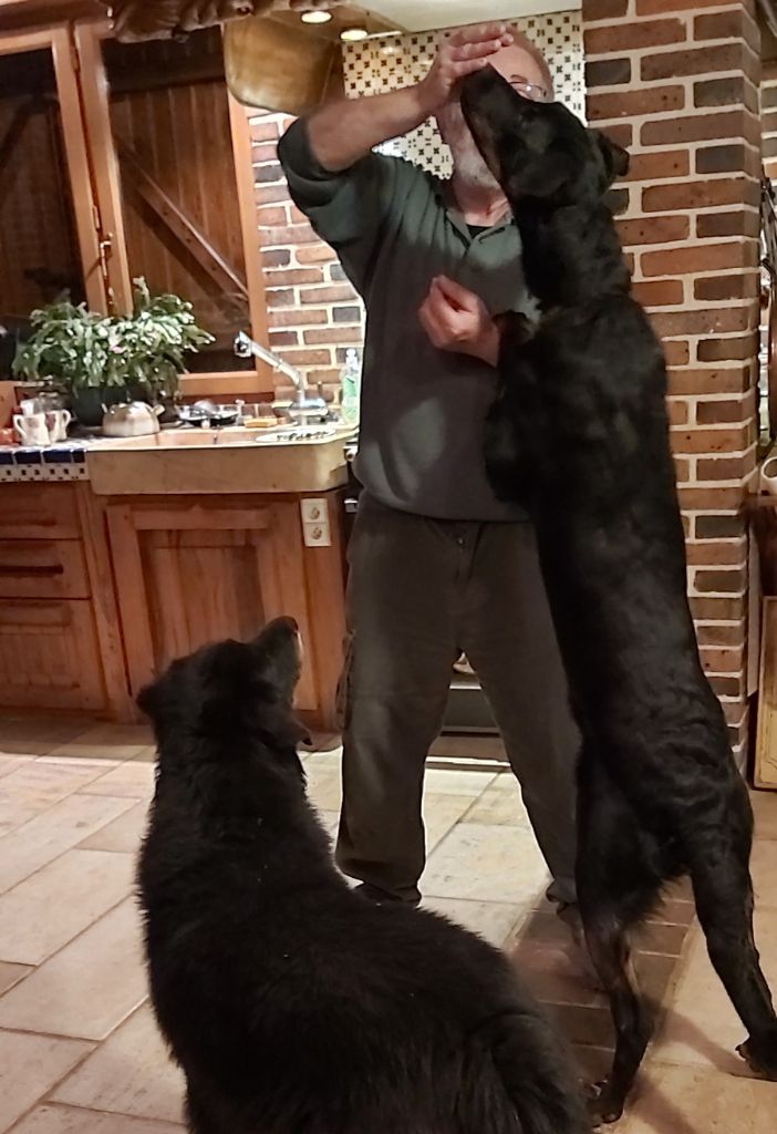 des Mille Pas de Loup - PROCHAINE PORTEE