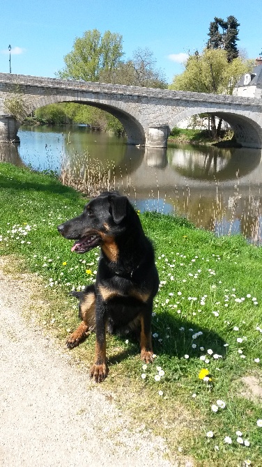 des Mille Pas de Loup - Une belle photo de IELSY...pour le plaisir des yeux.