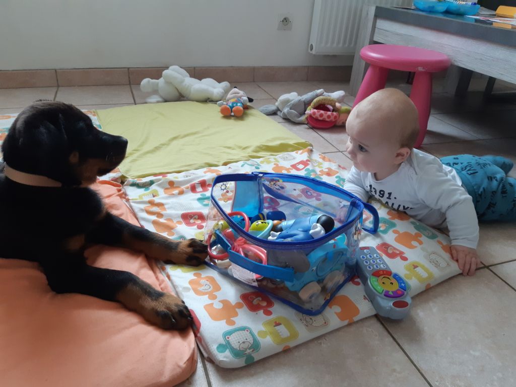 des Mille Pas de Loup - PENNY déjà super nounou!