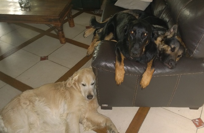 des Mille Pas de Loup - IANNAH et sa bande...relax!!!!