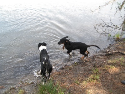 des Mille Pas de Loup - HADES et son ami heureux comme des poissons dans l'eau...