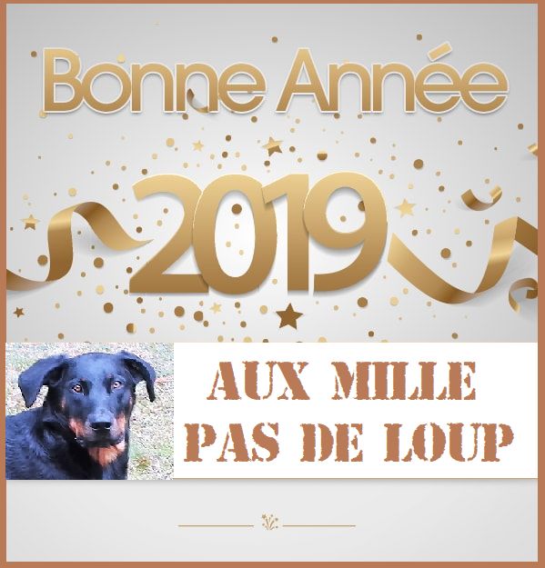 des Mille Pas de Loup - Bonne Année de la part de N'CHEYENNE!